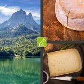 Basilic & Co - pizzas de terroirs