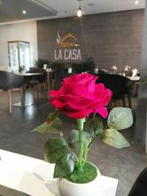 La Casa