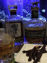 コーラルリーフ （Aquaroom coral reef）