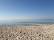 Bonomi15 - Bar, ristorante, pizzeria