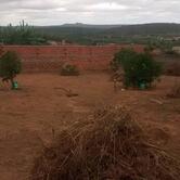 Tradicional Sabor Nordestino