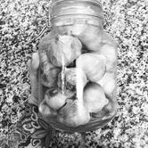 BASIQUE Néo- Bistrot