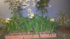 Hotel Silver Oak ( 5 Minutes Walk From Mahalaxmi Temple )