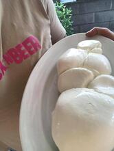 Trattoria Della Pesa