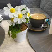 The Coffee Stop
