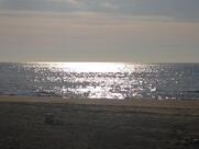 Stabil. Balneare Mogambo