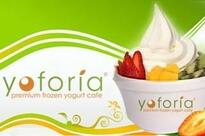 Yoforia Premium Yogurt Café
