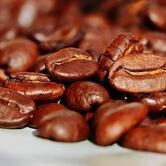 Bean in Progress Specialty Coffee Roastery
