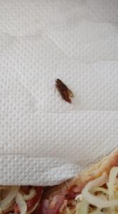 Pizzaria & Esfiharia Pezzoni