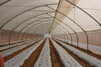 Complete green house solutions