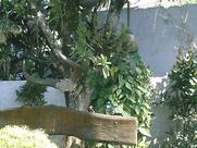 Restaurante Panela De Barro