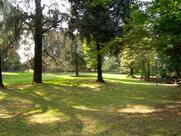 Parco Zanchi