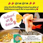 Bung-kare บังคาเร