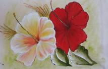 Pizzaria Nostra Casa