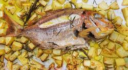 Ristorante - Pizzeria O sole mio