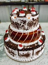 Love Bakers & Café Ranikhet