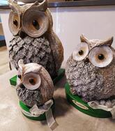 Caffè Centrale Cristina&Mirco Parma