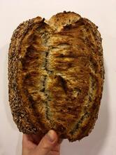 Tilde Forno Artigiano