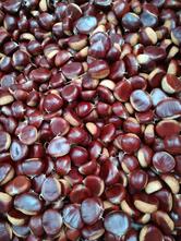 Restaurant @ Masseria Valle