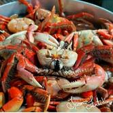 Carneiro do Ordones Original