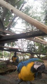 Bar e lanchonete da Helia