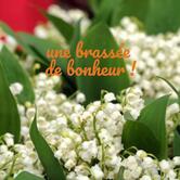 PIZZA VENEZIO MISSILLAC JEUDI