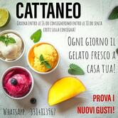 Gelateria Cattaneo Veneto