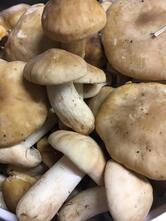 Ristorante Rosticceria Da Paolo E Alba