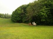 Agriturismo Il Glicine