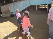 CEI Edith Della Giustina Gesser