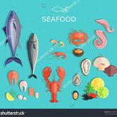 BLUE NILE Seafish Mysore