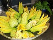 Viviziamo Ristorante - Shop