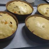 UGOBAR antiche tradizioni causo