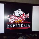 Coelhos espeteria