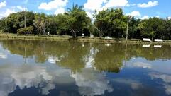 Pesque e pague tambury