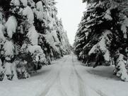 Agriturismo il viale