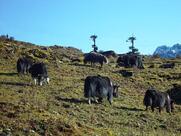 Step-Inn Family Restaurant & Caterer