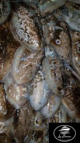 Ristorante Pizzeria La Barca