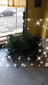 Caffetteria Santelia Bar