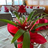 Trattoria Sottocastello