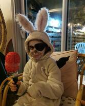 L'amer à boire et à manger