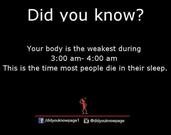 Poongnest Restaurant - Bar