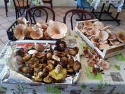 Pizzeria Gastronomia da Mariano