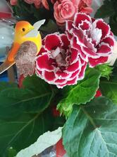 Panificadora Molinar Ltda