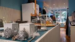 La baguette gourmande