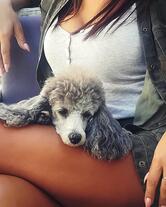 Cocktail Bar Neretvanka