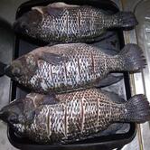 Espetinho O Bigodinho