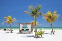 Amighini Cafè & Dependance