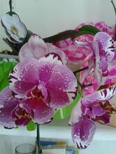 Cestas Café Da Manhã Presentes