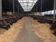 Azienda Agricola Grasso